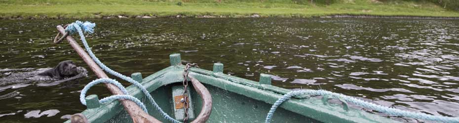 River Spey Trout Fishing Scotland