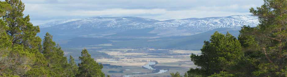 Scottish Highland Holiday Home for Let